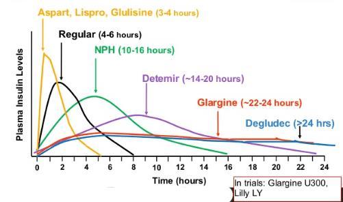 ινσουλίνης Glargine (Lantus, Abasaglar) Detemir (Levemir) Degludec (Tresiba)