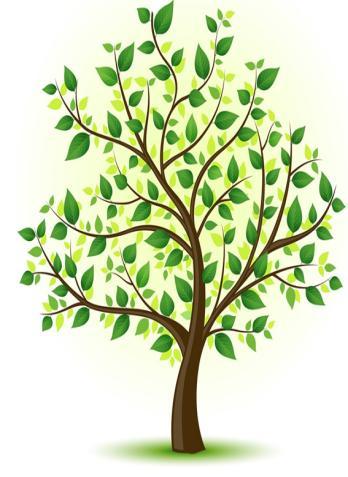 Stem and Leaf الدر س الساق والورقة [ 7-4] ف ك ر ة الدرس تمثيل البيأنات بالساق والورق المفردات الساق الورقة ت ع ل م درس أحد المختصين دراسة ميدأنية بجمع بيأنات ألوزأن عشرين طالبا من المرحلة المتوسطة