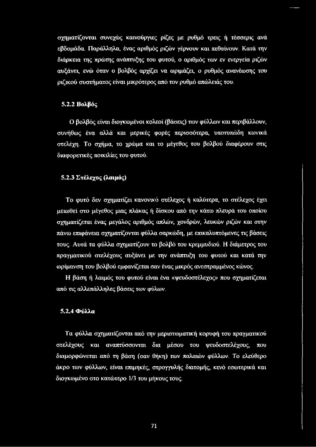 ρυθμό απώλειάς του. 5.2.2 Βολβός Ο βολβός είναι διογκωμένοι κολεοί (βάσεις) των φύλλων και περιβάλλουν, συνήθως ένα αλλά και μερικές φορές περισσότερα, υποτυπώδη κωνικά στελέχη.