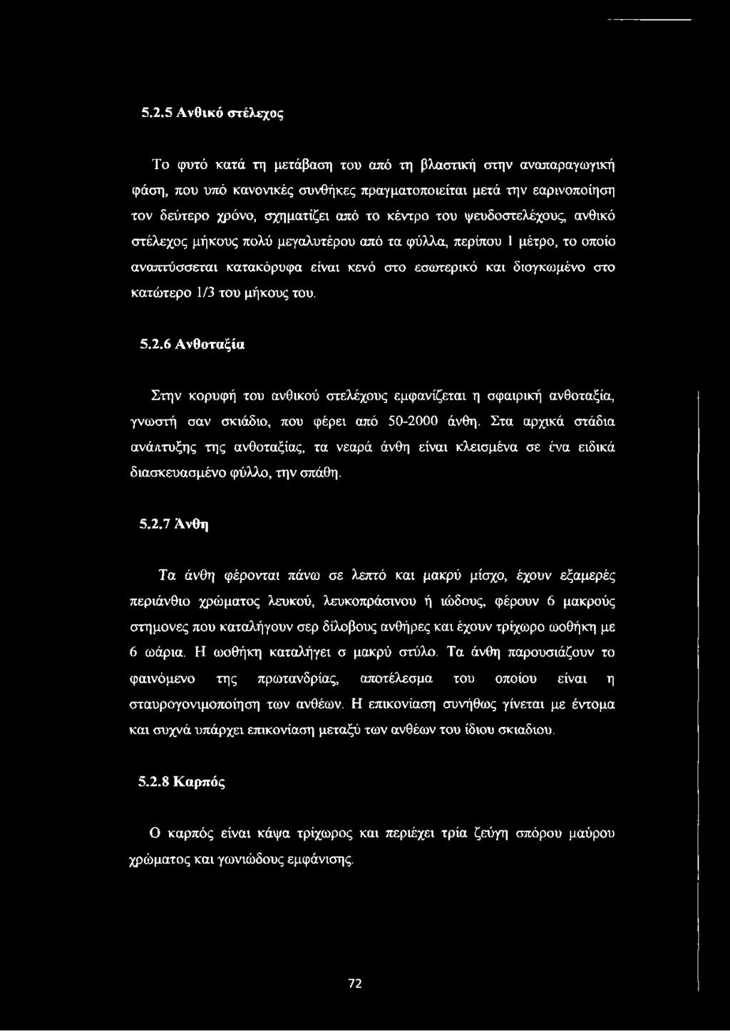 του. 5.2.6 Ανθοταξία Στην κορυφή του ανθικού στελέχους εμφανίζεται η σφαιρική ανθοταξία, γνωστή σαν σκιάδιο, που φέρει από 50-2000 άνθη.