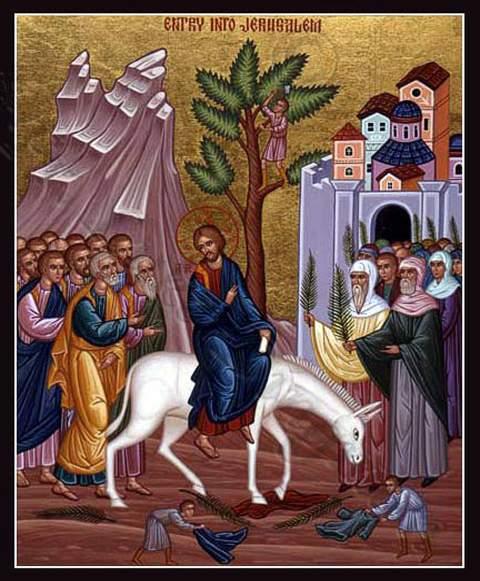 Pastor Assistant Pastor Parish President Stewardship Chairperson Pastoral Assistant Pastor Emeritus Parish Nurse Office Manager Secretary Fr. Christopher P. Foustoukos Email: frchris@stvasilios.