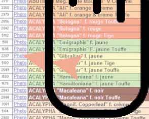 Collectionneur et producteur passionnés, notre catalogue est l'un des plus riches de France avec
