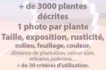 Fleurir avec