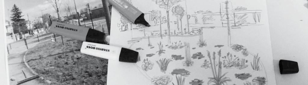 plante Taille,