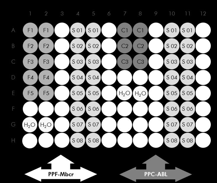 Εικόνα 5. Προτεινόμενη προετοιμασία πλακιδίων για ένα πείραμα. S: δείγμα cdna, F1 5: πρότυπα BCR-ABL Mbcr, C1 3: πρότυπα ABL, H 2 O: μάρτυρας νερού.
