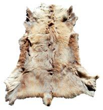 50x80cm μόνο 10,90-60x110cm μόνο 17,90-70x140cm