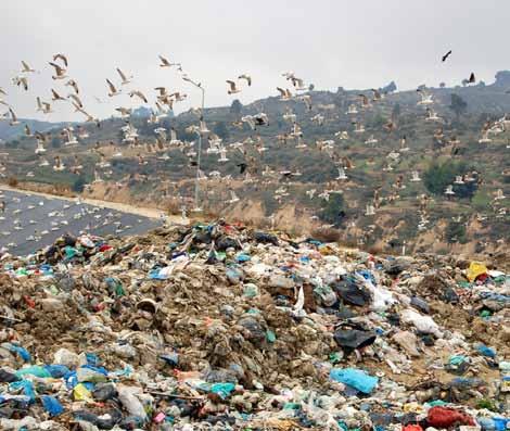 4/21 ΦΕΒΡΟΥΑΡΙΟΣ 2017 ΟΙ ΩΡΩΠΙΩΤΕΣ ΣΧΟΛΙΑΖΟΥΝ Κανένας Χ.Υ.Τ.Υ. στο δήμο Ωρωπού! Με καθυστέρηση τριών ολόκληρων μηνών (!) ενημερώθηκε το Δημοτικό Συμβούλιο και η τοπική κοινωνία για την υπ αριθ.