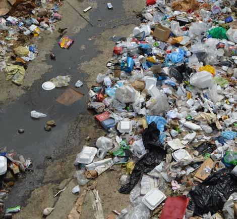 ΦΕΒΡΟΥΑΡΙΟΣ 2017 22 /7 Για... καυσόξυλα το δάσος στον Αυλώνα; Τουλάχιστον από το Φθινόπωρο και μετά κυκλοφορούσαν φήμες για κόψιμο δέντρων στο Δάσος της περιοχής «Βούτημα»στον Αυλώνα.