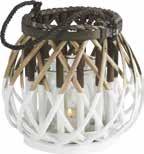 De Peuplier/Verre 3GBLOMA*aedfid+ 0103453