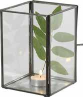 Photophore Vitrine