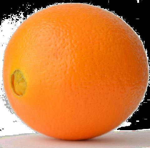 1.2 Το πορτοκάλι & ποικιλίες του Η συνήθης χρήση της ονομασίας πορτοκάλι (orange) περιγράφει τους καρπούς του φυτού Citrus sinensis, αν και στη διεθνή βιβλιογραφία ο όρος χρησιμοποιείται, μεταξύ