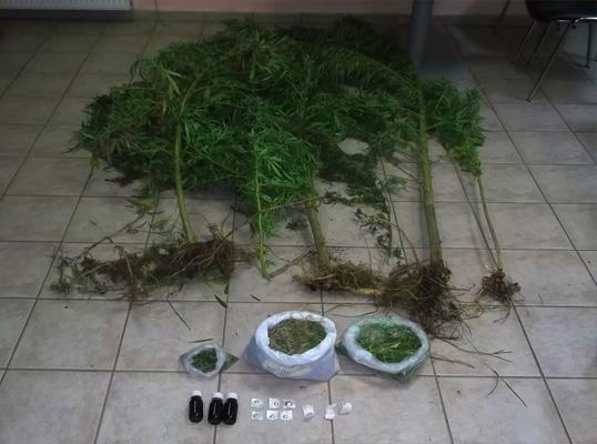 απόγευμα στην ευρύτερη περιοχή της Θήβας, ένας 49χρονος ημεδαπός, ο οποίος κατηγορείται για καλλιέργεια και κατοχή ναρκωτικών. Ειδικότερα, κατά την πραγματοποίηση προσωρινής στάσης λεωφορείου του Κ.Τ.