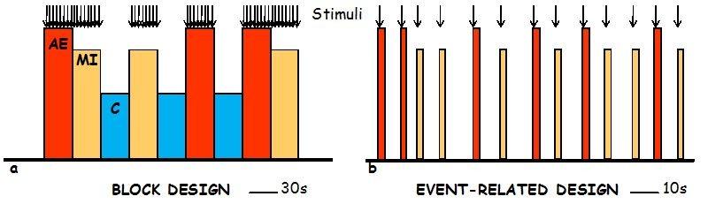 2.10 Event related σχεδιασμός Ο σχεδιασμός κατά τον οποίο ένα σύντομο ερέθισμα παρουσιάζεται τυχαία καλείται event related.