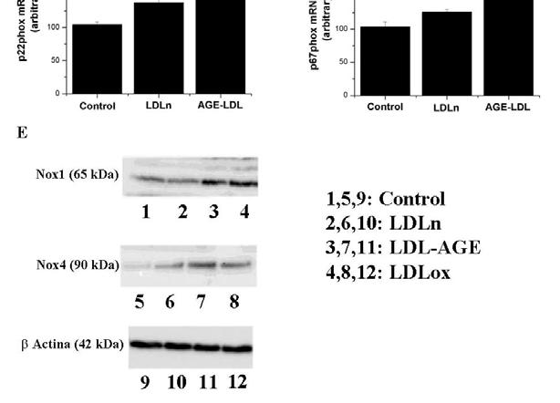 Imunobloturi reprezentative ilustrand modularea
