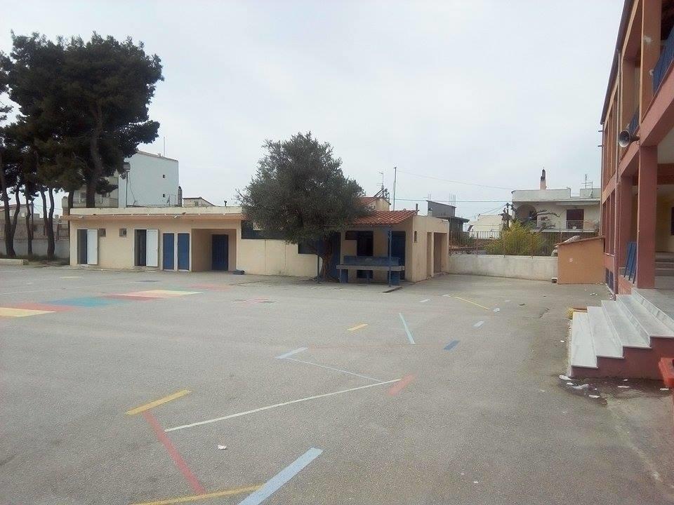 3) 36