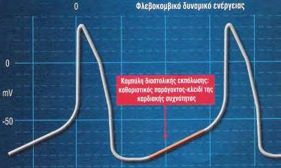 13 φάση 4 που είναι η ανερέθιστη περίοδος της καρδιάς, κατά την οποία το κύτταρο δεν έχει την ικανότητα να πυροδοτήσει το δυναμικό ενέργειας.