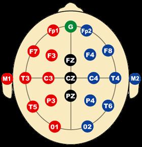 A = Ear lobe, C = central,