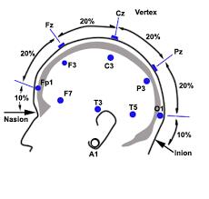 A = Ear lobe, C = central,