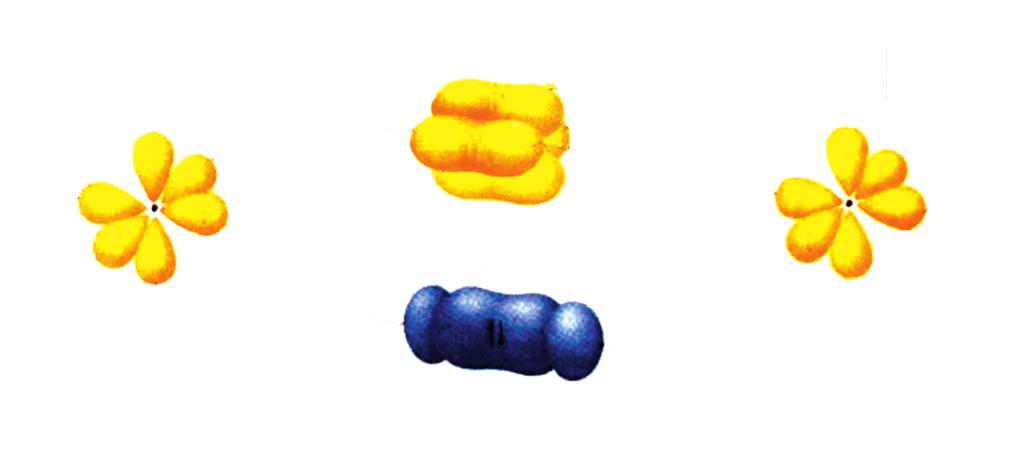 π = 2p x + 2p x x π = 2p y + 2p y 2p x z z y 2p z 2p y N 2