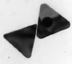 2000 (111) Intensity (a.u.) 1500 1000 500 (200) 100 nm (220) (311)(222) 0 30 40 50 60 70 80 2 θ (degree) Figure 4 2.