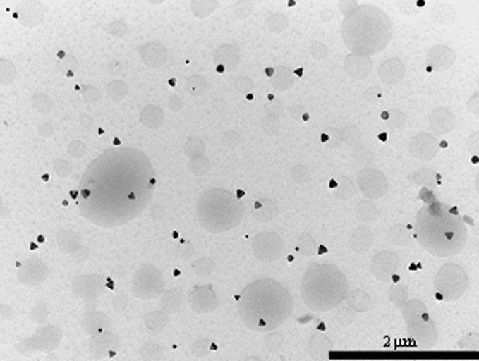 Capitolul 3 Sinteza Nanoparticulelor Anizotrope de Argint Mediata de Chitosan 3.1.