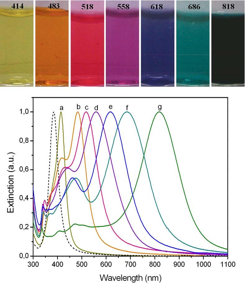 masura ce pozitia benzilor plasmonice de suprafata localizate (LSPR) de deplaseaza spre lungimi de unda mai mari, de la 414 nm la 818 nm, probele isi modifica progresiv culoarea. Figura 4 3.