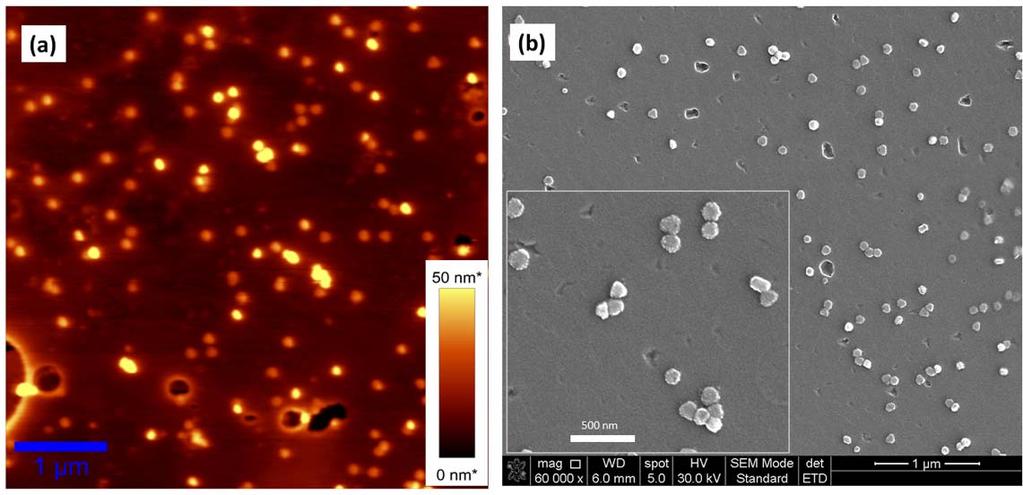 Prin aceasta procedura se formeaza ansambluri mici de nanoparticule anizotrope de argint cu spatii inguste intre ele, care pot produce o amplificare uriasa a semnalului Raman al moleculelor