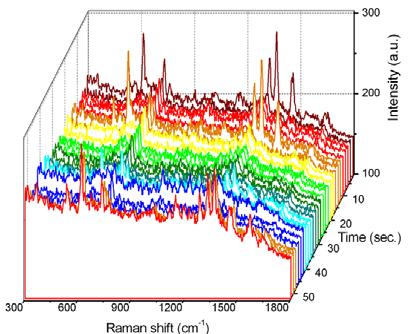 Detectia SERS unimoleculara a adeninei In continuare am investigat fimul preparat cu o concentratie a adeninei de 12 x 10-12 M, deoarece detectia unor concentratii extreme de scazute poate fi