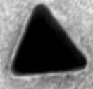 In interior este prezentata o imagine marita a lantului de nanoparticule de aur. (B) 50 0 C.