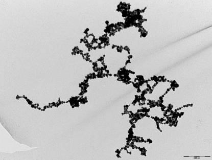 Imaginea din interior pune in evidenta stratul de chitosan prezent pe laturile unui nanocristal individual de aur. (D) 4 C.