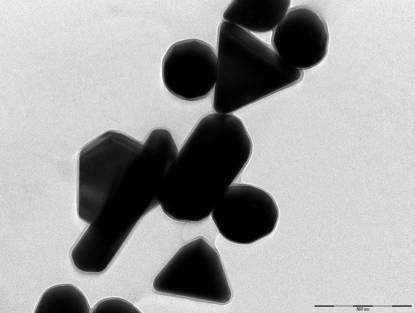 diametru mediu de 18 ± 2 nm si asamblarea acestora in lanturi ramificate de zeci pana la sute de particule.