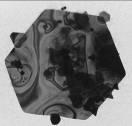 diametru mediu de 27± 5 nm.