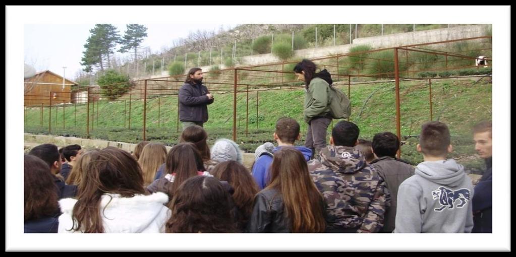 Συγκρατεί το νερό της βροχής και δεν το αφήνει να πέφτει με δύναμη στο έδαφος και να το διαβρώνει Ενισχύει τα υπόγεια νερά.