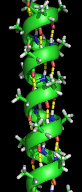 in proteinov: