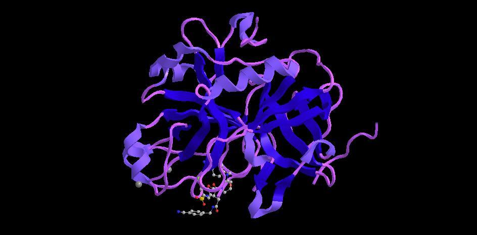 RSCB Protein Databank (http://www.rcsb.org/pdb/home/home.do) je prostodostopna baza (banka) podatkov o strukturi znanih proteinov.