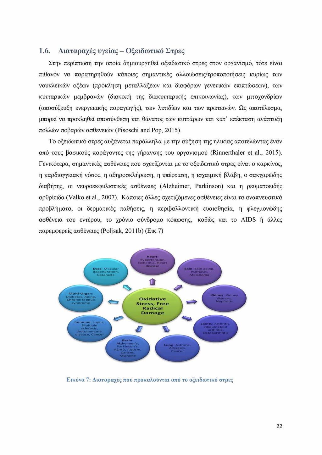 1.6. Διαταραχές υγείας - Οξειδωτικό Στρες Στην περίπτωση την οποία δημιουργηθεί οξειδωτικό στρες στον οργανισμό, τότε είναι πιθανόν να παρατηρηθούν κάποιες σημαντικές αλλοιώσεις/τροποποιήσεις κυρίως