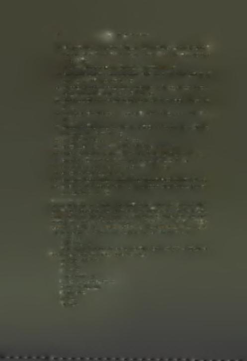 40. 5. Stefano e Maria fratelli, figli del q. Andrea Colona Biscotto D. 27. 6. Papaatanasio Alazzero, capelan21 della fortezza vecchia 22 b. D. 3 7.