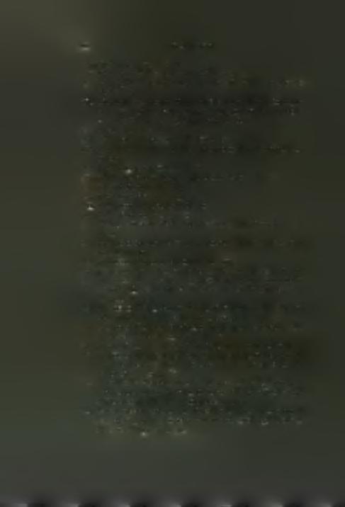 Elia Darodopula e Manoli suo figlio b. L. 12. 103. Ergina Pirinopula e Daniel Antonici q. Zuane suo figlio b. L. 20. 104. Ergina Geracaropula b. L. 8. 105. Elenetta Astra q.