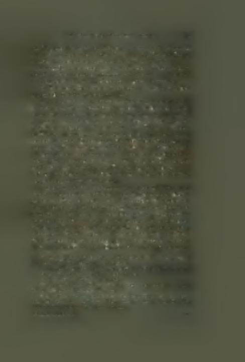Άποκαλεΐ- ται δμως καί «Κυρία τών Αγγέλων» καί «Φοβερά Προστασία». Ή Ρεθυμνιακή είκών είναι αχρονολόγητος καί ανυπόγραφος. Δεν γνωρίζω εάν ό Henze χρονολογή αυτήν '6: Ό Κ.