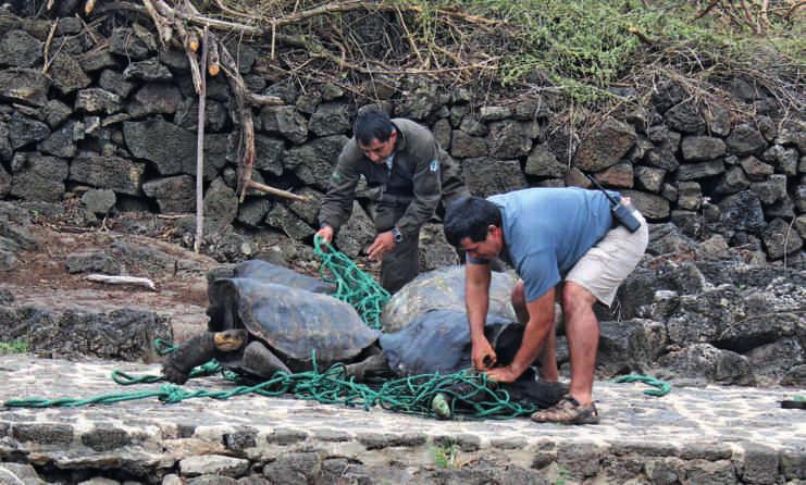 ثالثو وم ا موجز ا أ لخبار GALAPAGOS NATL PARK ساسات مباحثات تحرر الجات جاء تصرح لمؤتمر عالم حول تحرر الجوم الثالث م دسمبر الما أه ل بغ استخدام تكولوجات تحرر الجات إلجراء تعدالت على ا أ لجة البشرة الت