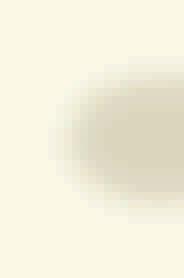 4. Hoepfner, S. et al. Cell 121, 437 450 (2005). 5. Goodwin, S. S. & Vale, R. D. Cell 143, 263 274 (2010). للعو الحس حث بدو أها تخاطر باحتمال أ تقسم بشكل متساو ب الخلت الولدت.