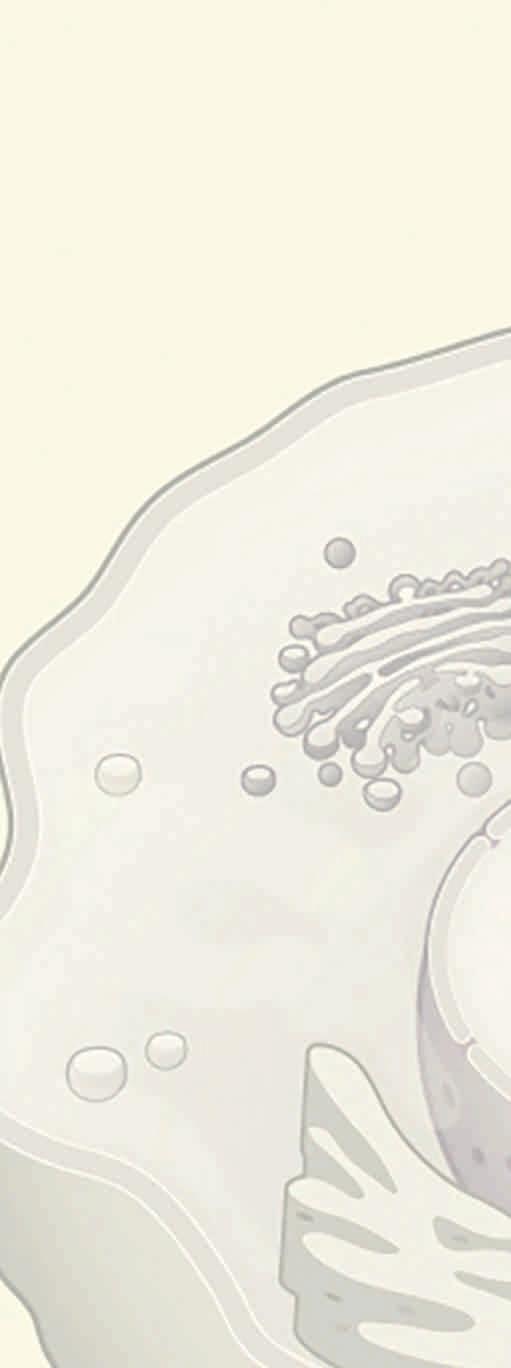 NEWS & VIEWS Essential reading for all scientists In Nature s News & Views section world authorities in science explain the top papers from