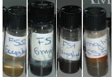 4: Οπτική καταγραφή υδατοδιαλυμάτων νανοσωματιδίων γκρεϊγκίτη χωρίς επικάλυψη (FS2) και με επικάλυψηfs3 (κιτρικό οξύ), FS4 (CTAB), FS5 (δεξτράνη) μετά την είσοδο τους στη συσκευή υπερήχων και 1ώρα