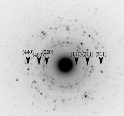 7 παρατηρούμε ότι τα μεγέθη των νανοσωματιδίων όπως υπολογίστηκαν μέσω του ΤΕΜ συγκλίνουν με τις τιμές των μεγεθών των κρυσταλλιτών από το XRD για τα δείγματα μαγνητίτη (Μ12, Μ14, Μ15, Μ16, Μ17)