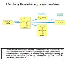 Aσκήσεις