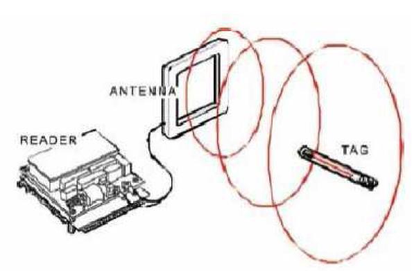 Ένα σύστημα RFID αποτελείται από τα ακόλουθα: Μία ή περισσότερες ετικέτες (tags) Έναν ή περισσότερους αναγνώστες (readers) Δύο ή περισσότερες κεραίες (access points) Έναν ή περισσότερους label