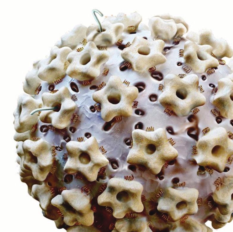 ΠΡΟΣΚΛΗΣΗ Οι τελευταίες συνεχώς αυξανόμενες γνώσεις όσον αφορά στο εύρος και τη βαρύτητα των συνεπειών της HPV-μόλυνσης επιβάλουν την ενημέρωση όλων σχετικά με την πρόληψη (HPV-εμβόλιο), την έγκαιρη