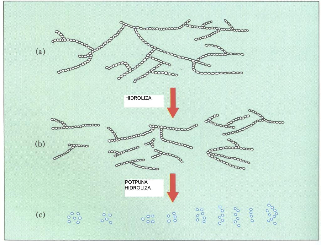 Hidroliza skroba SKROB