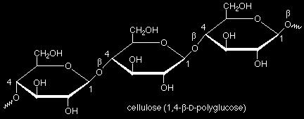 Celuloza: (C 6 H 10 O 5 ) n Sadrži samo molekule