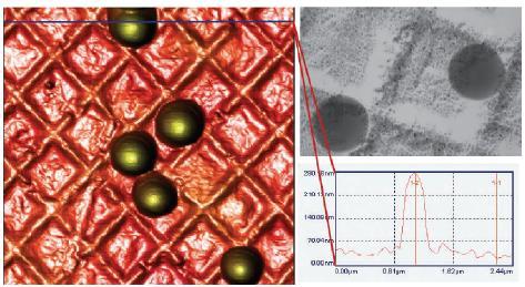 SEM/TEM AFM Δείγματα Πρέπει να είναι αγώγιμα Αγώγιμα και μη Μεγέθυνση 2 Διαστάσεις 3 Διαστάσεις Περιβάλλον Κενό Κενό/Αέρας/Υγρό Χρόνος απεικόνησης 0.1-1 λεπτό 1-5 λεπτά Οριζόντια ανάλυση 0.